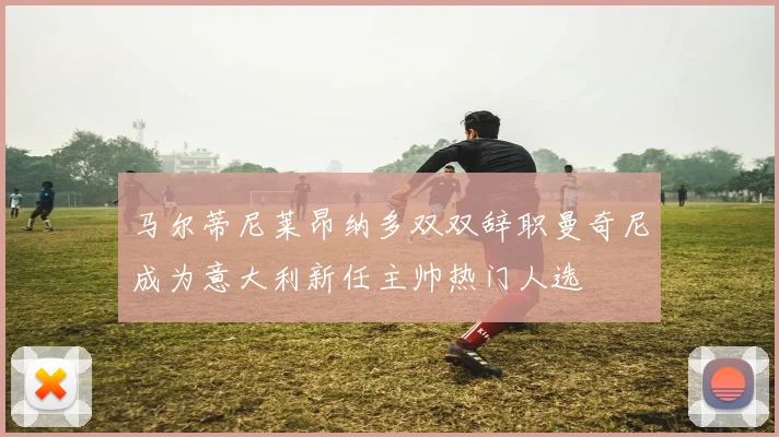 马尔蒂尼莱昂纳多双双辞职曼奇尼成为意大利新任主帅热门人选